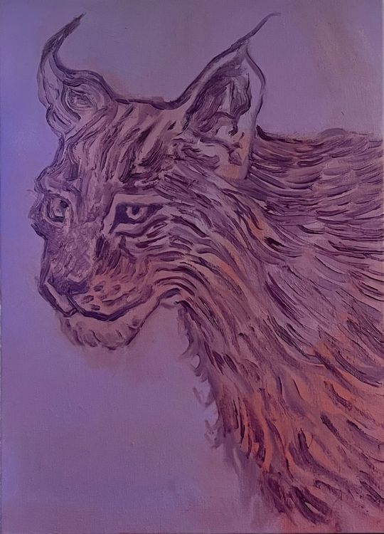 Lynx