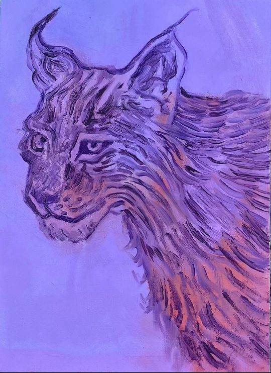 Lynx