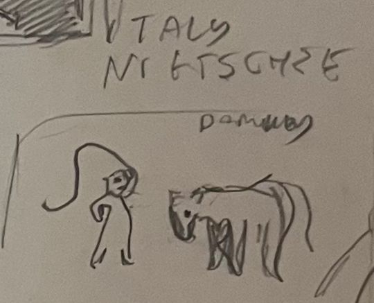 Italy animal abuse 