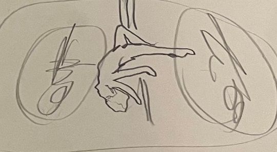 The unconsciousness and unconcerned , acrobat 