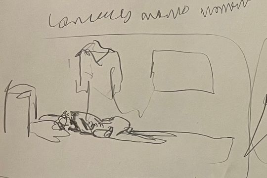 Lady Home alone at friday 