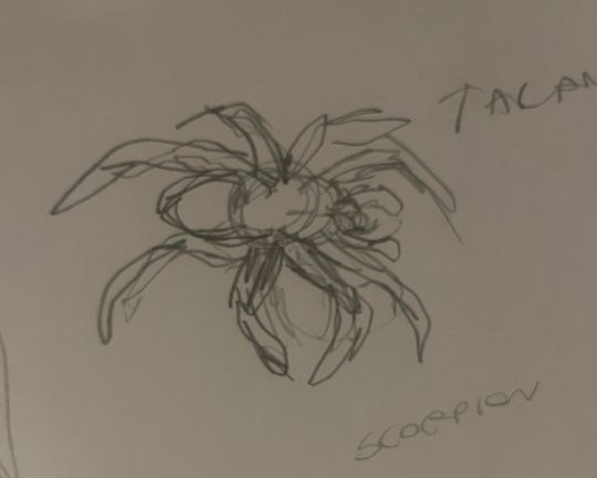 Tarantula 