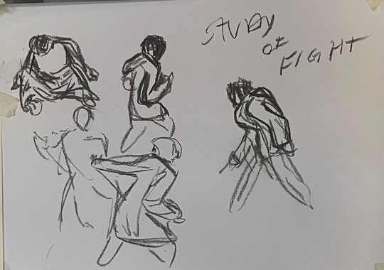 Study of fight