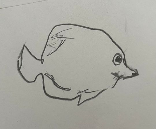 Just a fish, Elprhant, Shark, Uammershark, Seahorse, Squid , Lobster, Wolf, Arctic Fox, Grizzly bear, Polar bear, Koala, Panda, Kangaroo, Zebra, Hippo, Gazelle, Antelope, Puma, Jaguar, Leopard, Giraffe, Bison