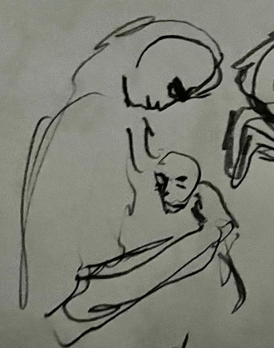 Parental love, shrimp