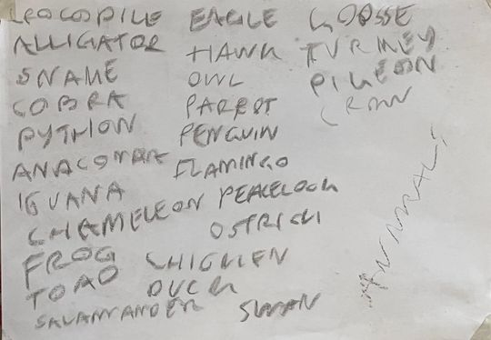 More animal set list