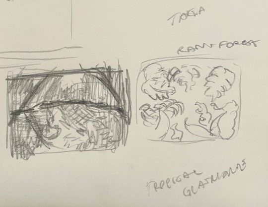 Rainforest depth