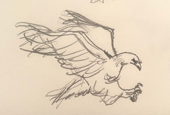 Eagle