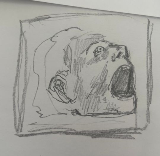 not happy-face, terror, existential crisis rage sudden fear and shock brutal cruel