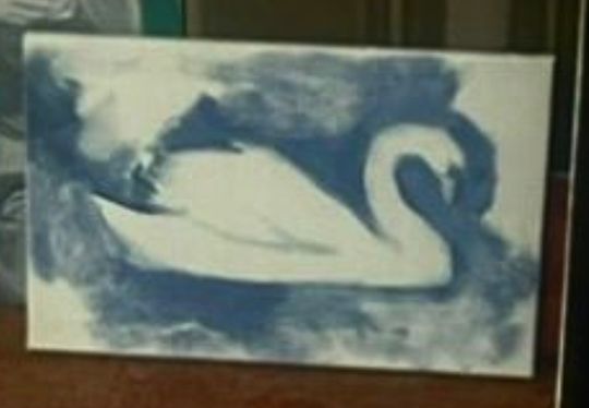 Swan
