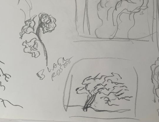 Study of botany and movement, Hope, The Light, Faith, Ecstacy, Experience