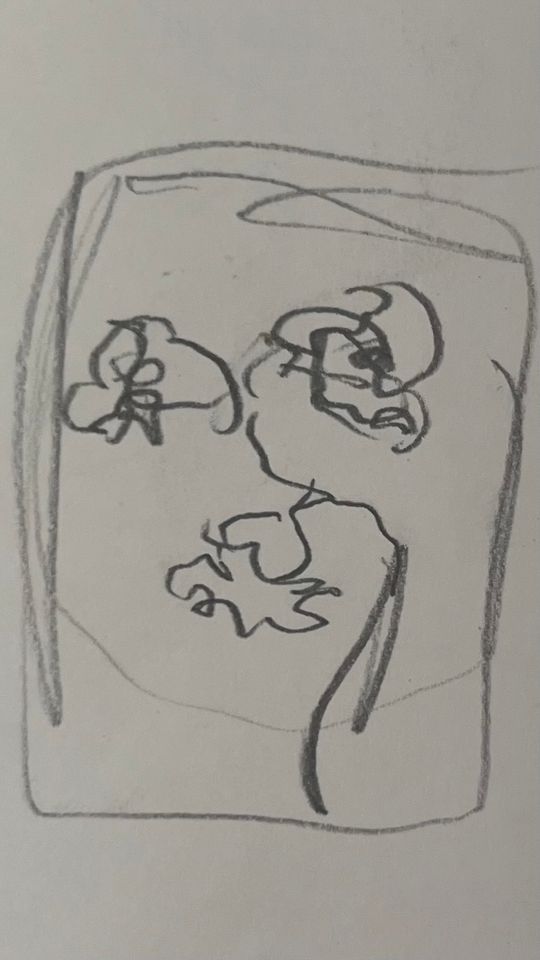 Black roses, lust for life