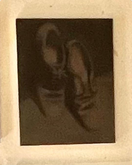 broken shoes, homage to Paris for the accident