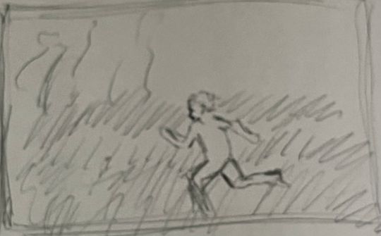 Boy running on opium fields