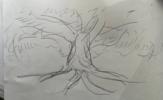 Magnificence of a tree