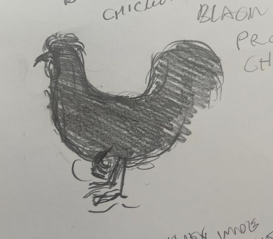 Big black proud magnificent extravagant chicken