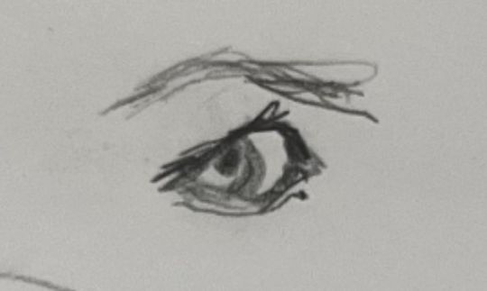 Study of eye
