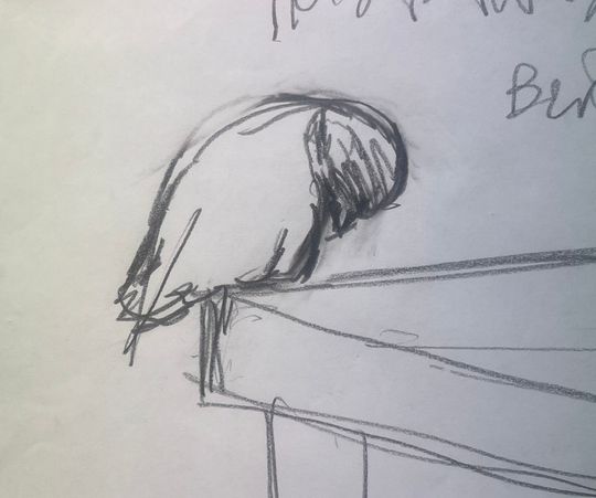 Last bird of a race still tries to find a shelter and get warm during winter and sings on spring