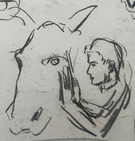 Horse and man